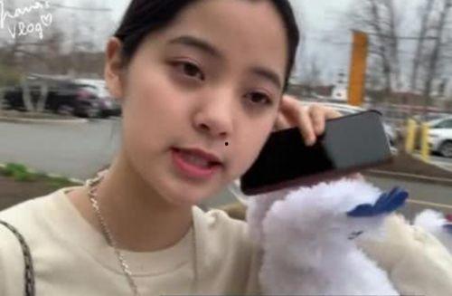 欧阳娜娜妹妹爆料视频大全,揭秘明星家庭幕后故事